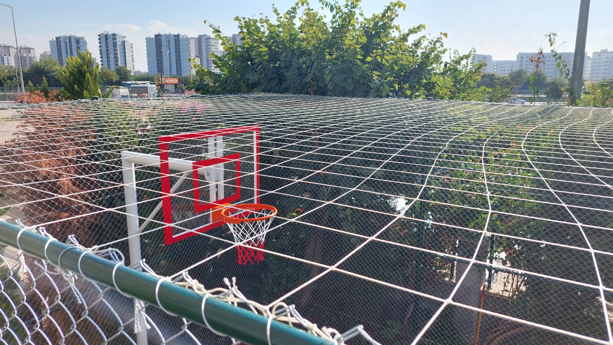 Basket Potası